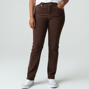 AMERICAN EAGLE | Womens Brown ‘90s Straight Stretch Corduroy Pants size 18 Short